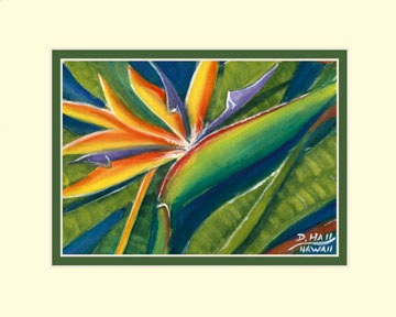 Tropical Bird Painting on Hawaiian Tropical Bird Of Paradise Flower Painting And Prints For Sale